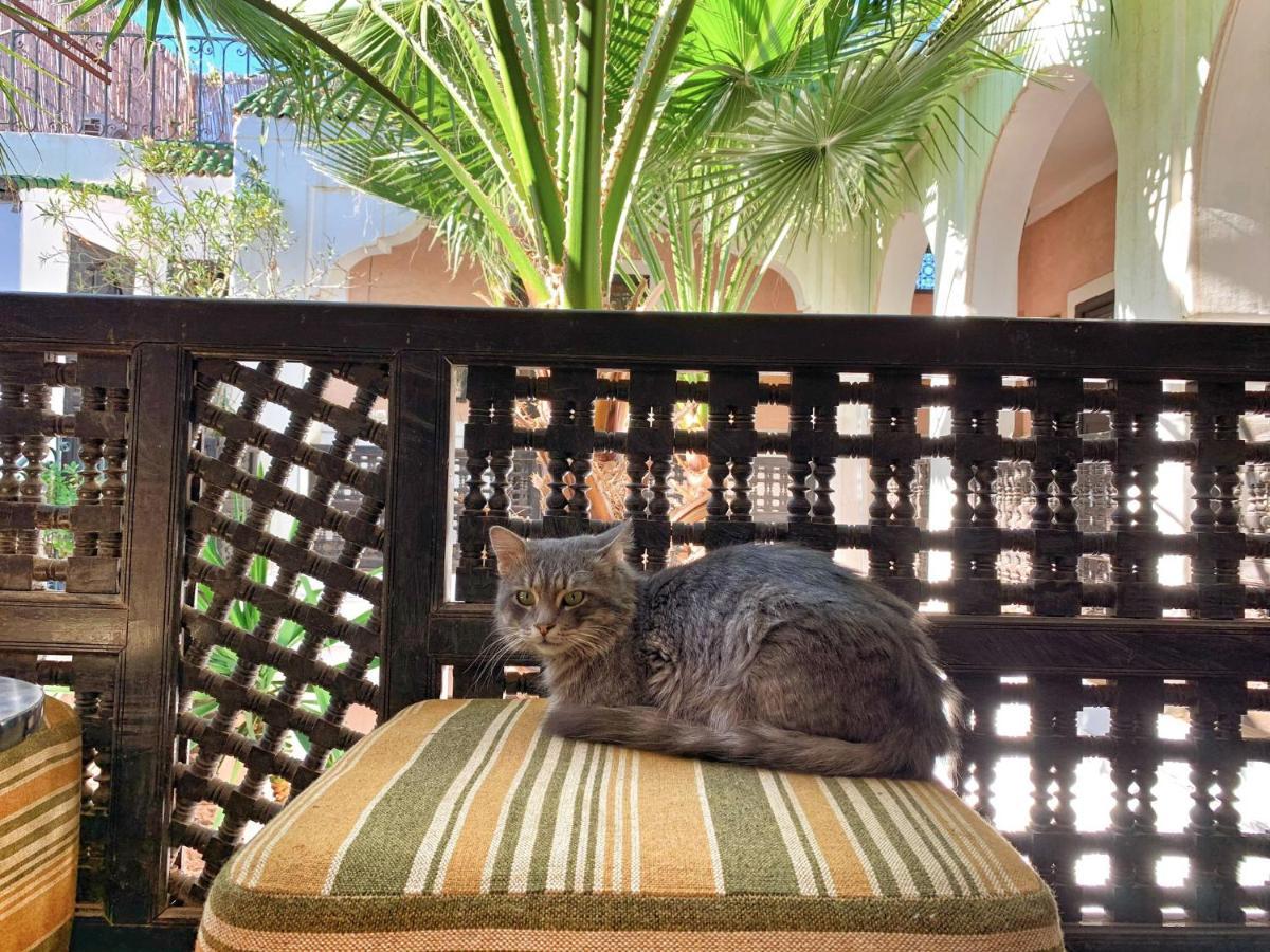 Riad Rockech Marrakesh Eksteriør billede