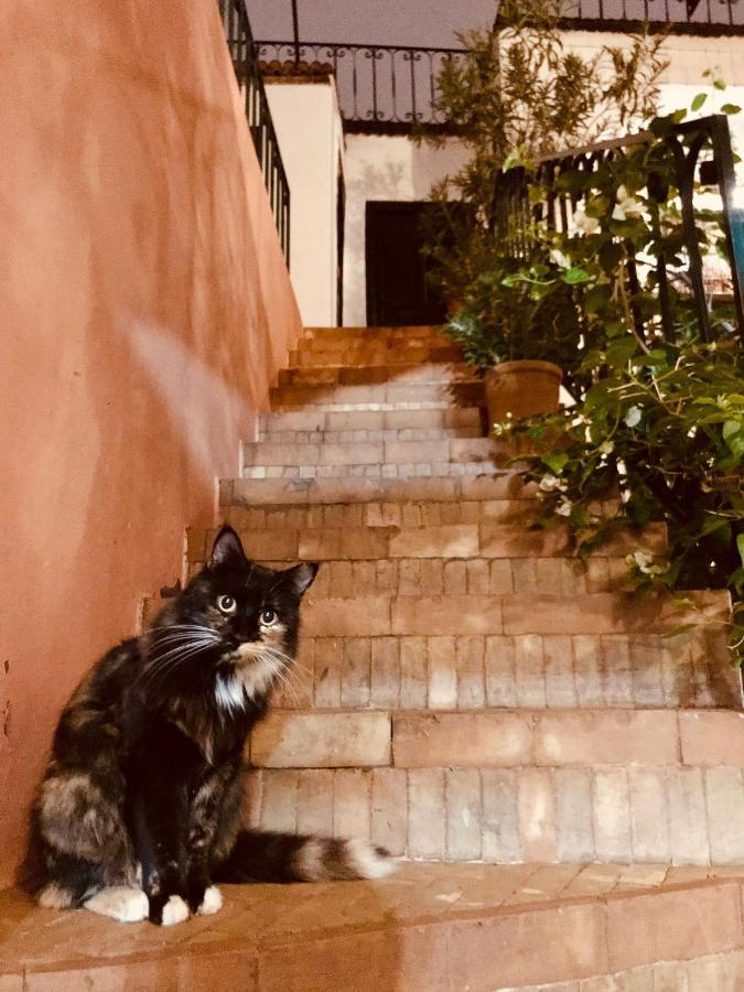 Riad Rockech Marrakesh Eksteriør billede