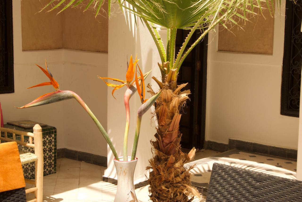Riad Rockech Marrakesh Eksteriør billede
